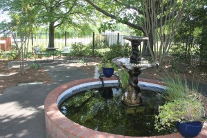 Premier dental greer courtyard